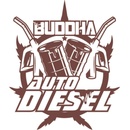 Buddha Seeds Diesel AUTO semena neobsahují THC 10 ks