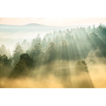 DIMEX ART s. r. o Флизелинов фототапет слънчеви лъчи 375 x 250 см