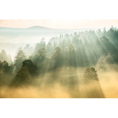 DIMEX ART Флизелинов фототапет слънчеви лъчи 375 x 250 см