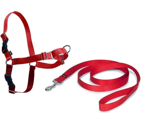 PetSafe Postroj EasyWalk M