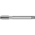 BUČOVICE TOOLS Метчик комбиниран HSS М24х1, 5 Bucovice Tools 107 242