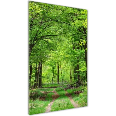 Vertikálny foto obraz sklenený Zelený les 50x100 cm