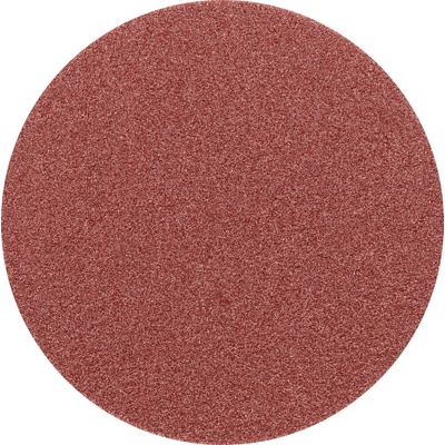 Pferd 42832224 | PSA-Discs 30 A 240