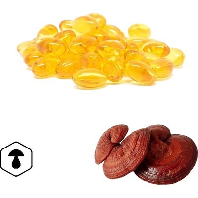 LifeChi Reishi Ganoderma lucidum spórový olej 120 tablet