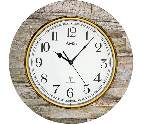 AMS 5569