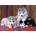 Ravensburger - Puzzle Puppies Husky XXL - 200 piese
