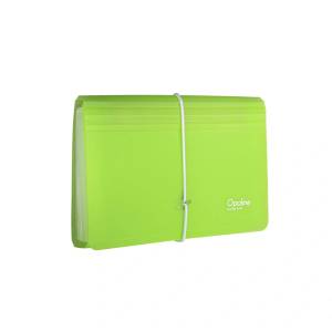 KARTON P+P Opaline PP DL 13 отделения, прозрачно зелено, папка с хармоника 2-491 (2-491)