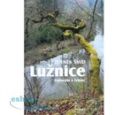 Lužnice