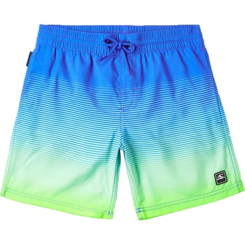 O'Neill Cali gradient 14'' swim shorts 128
