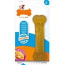 Nylabone Kost Puppybone 1 ks