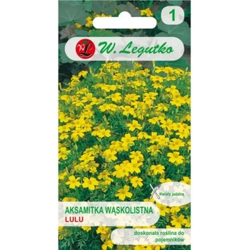 W. Legutko Лулу теснолистна календула - лимонено жълта