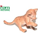 Atlas A Lev mládě 7,5 cm