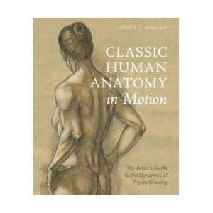 Classic Human Anatomy in Motion (ISBN: 9780770434144)