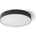 Rendl R13486