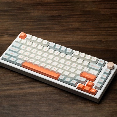 VGN Professional Gaming Mechanical Keyboard N75 RGB Jelly Orange Power Silver Switches Linear (N75-OR-PS)