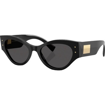 Dolce&Gabbana DG4480 501/87