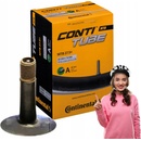 Continental AV