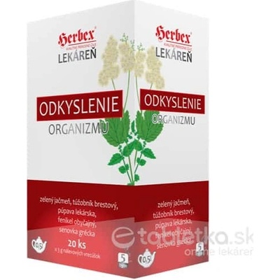 HERBEX Lekáreň ODKYSLENIE organizmu bylinná zmes 20 x 3 g