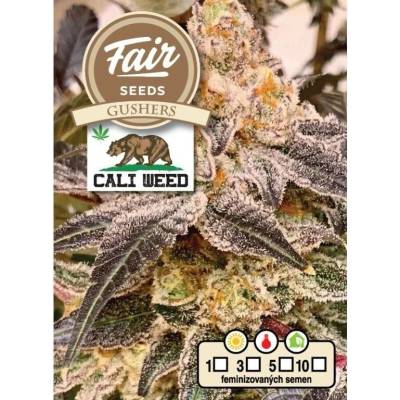 Fair Seeds Gushers semena neobsahují THC 10 ks