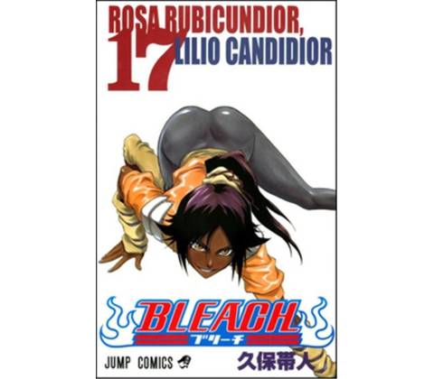 Bleach 17