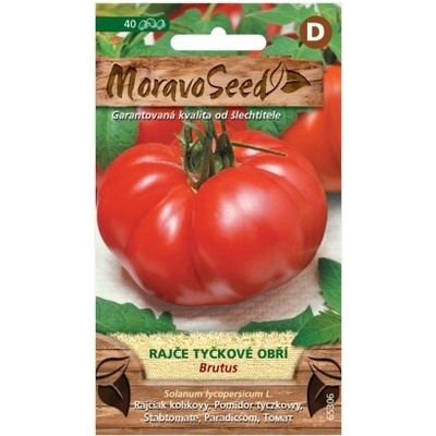 Nohel Garden Paradajka tyčková obrie BRUTUS 65306