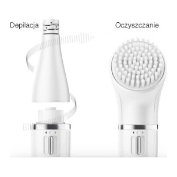 Braun Face 831