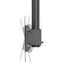 NewStar Neomounts CL35-340BL12