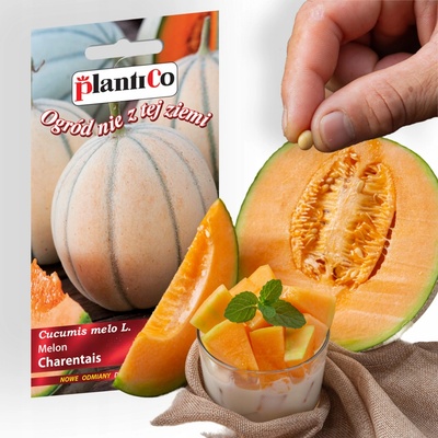 Melón veľký CHARENTAIS semená Plantico 1 g