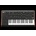 Moog SUB 37