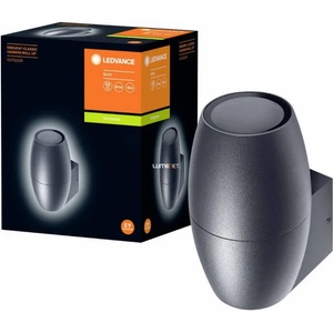 OSRAM LEDVANCE Cannon 4058075554474