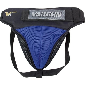 Vaughn Velocity V6 1000 i