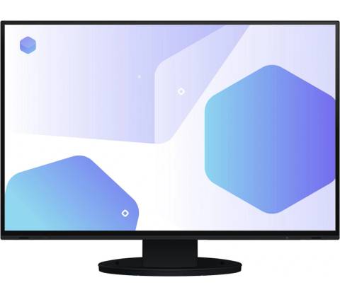 Eizo EV2485-BK