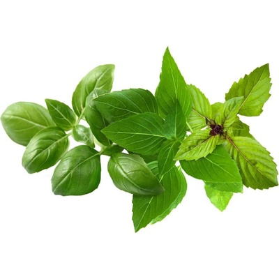 Click & Grow Семена Click and Grow Микс босилек, 9 броя (PPMBVX9)