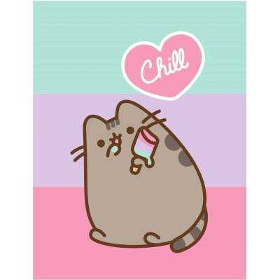 Halantex Coral fleece deka kočička Pusheen motiv Chill