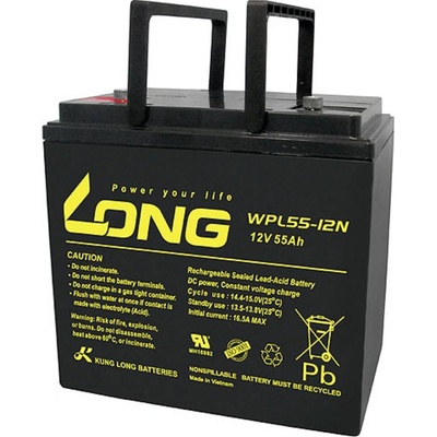 Long WPL55-12 12 V 55 Ah