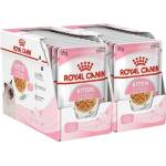 Royal Canin Kitten Instinctive Jelly консерви за котенца в желе 24 x 85 г