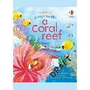 Peep inside a Coral Reef