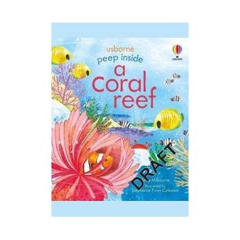 Peep inside a Coral Reef