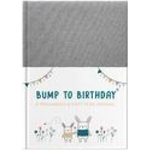 From you to me Bump to Birthday | HELEN STEPHENS