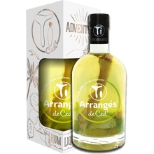 Ti Arrangés Lemon&Ginger 32% 0,7 l (holá láhev)