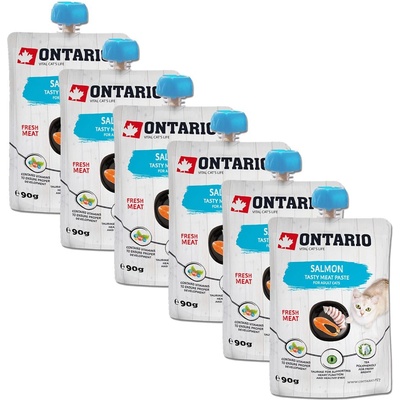 ONTARIO Cat сьомга вкусна месна паста 6 x 90 г