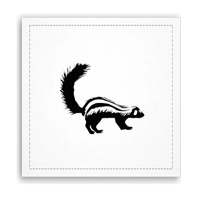 Fotoobraz 40x40 cm Skunk