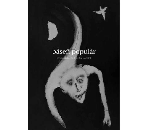 Báseň populár - David Růžička