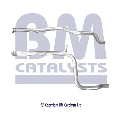 BM CATALYSTS BM50639