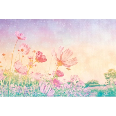 DIMEX ART Флизелинов фототапет винтидж пастелни цветя 375 x 250 см