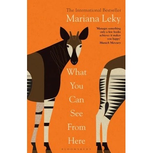 What You Can See From Here (ISBN: 9781526638540)