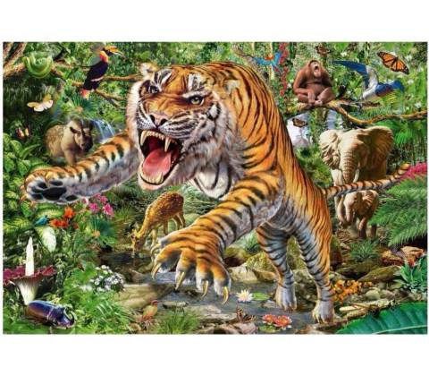 Schmidt Tiger attack 500 dielov