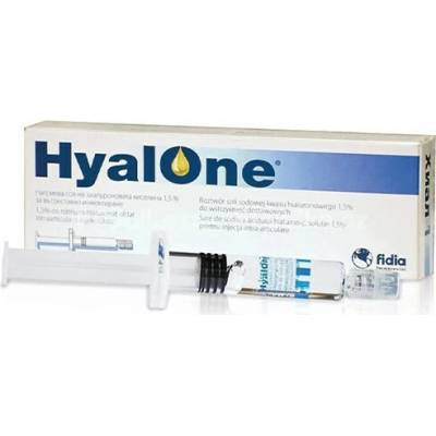 Hyalubrix viskoelastický intraartikulárny roztok 2 ml