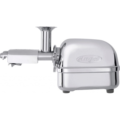 Angel 5500