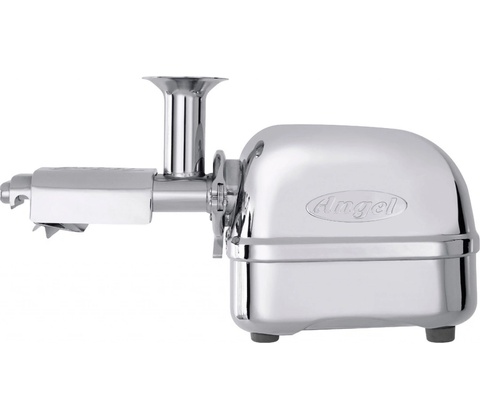 Angel 5500